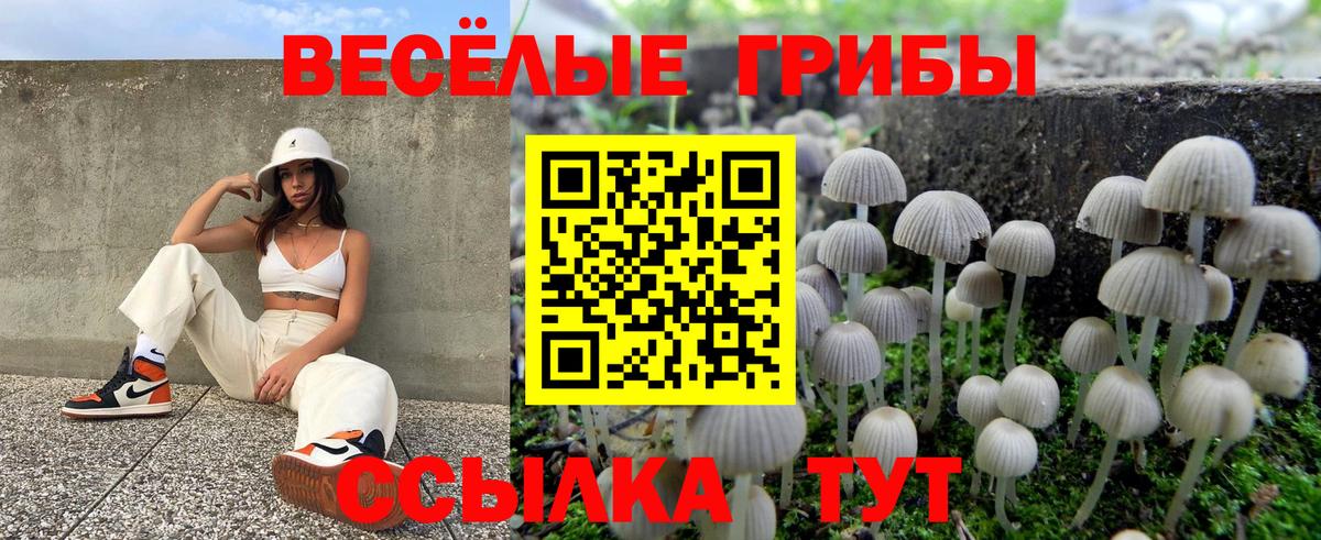 Галлюциногенные грибы мицелий  хочу наркоту  Вход с VPN  Асино  Псилоцибиновые грибы прущие грибы 